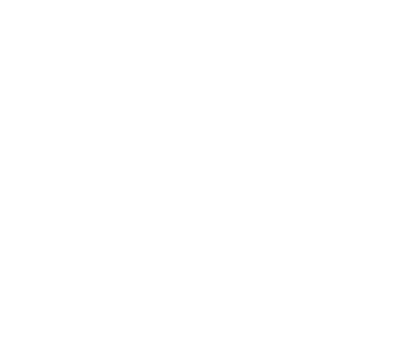 Logo Baron de Lestac