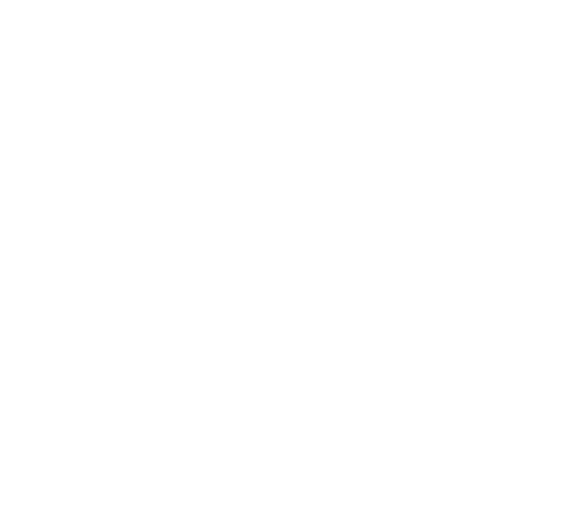 Logo Baron de Lestac