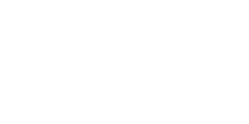 Logo Bleu Bonheur