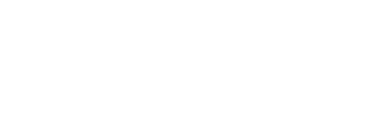 Logo Elastroplast