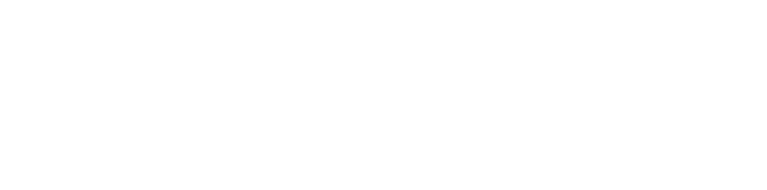 Logo FNMS