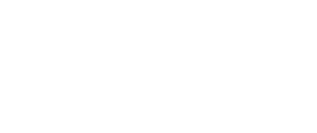 Logo Fondation pour l'université de Lyon