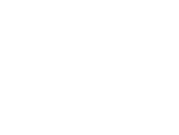 Logo IBSA