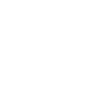 Logo IBV