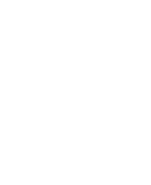 Logo IDDH