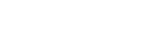 Logo Interfel