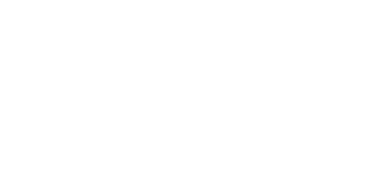 Logo Noblessa