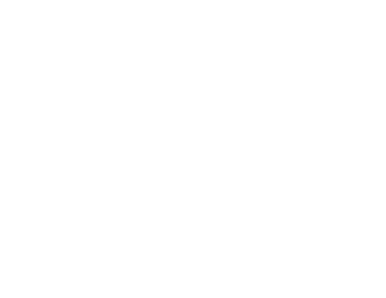 Logo Skoll