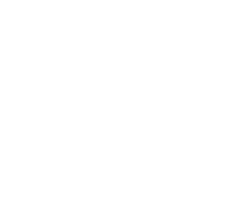 Logo Speedy