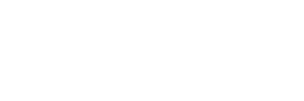 Logo Velux